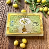 Natural Olive Oil Soap