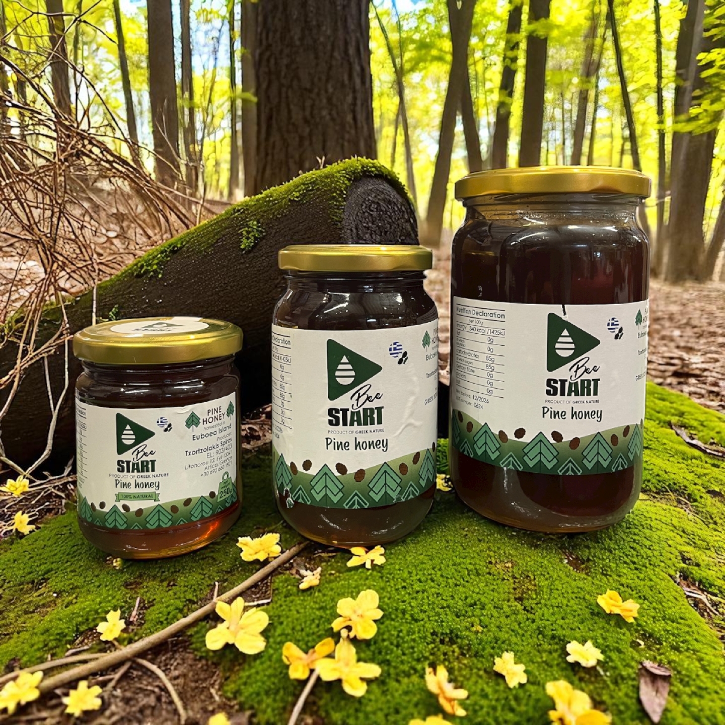 Greek Pine Honey 250gr - 1000gr-0