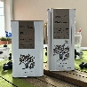 Philotimo - Greek Extra Virgin Olive Oil - Cold Extraction
