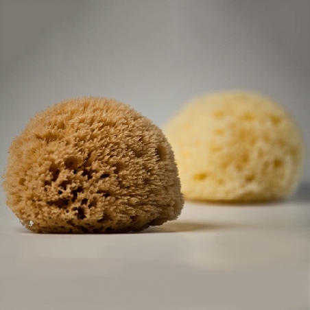 Authentic Kalymnos Sponges 08cm - 18cm
