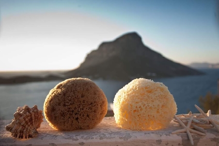 Authentic Kalymnos Sponges 08cm - 18cm-0