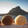 Authentic Kalymnos Sponges